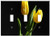 Switch Plate Triple Toggle - Tulip Yellow Flower Spring Nature