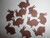 100 brown bunny bunnies die cuts confetti party decor