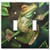 Art Plates - Double Gang Toggle OVERSIZE Switch Plate/OVER SIZE Wall Plate - Yellow Eyed Tree Frog