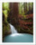 Redwood Forest Waterfall Paper Print Wall Art -10in. x 8in.-