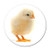 AK Wall Art Chick Circle Cute Vinyl Sticker - Select Size