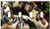 Switch Plate 4 Gang Toggle - Cockroaches Bugs Insect Pest Roach Beetle Brown