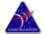 Triangle NASA Constellation Logo Shaped Sticker -Space Seal Mission-