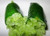 Elwyn 20 Finger Lime Fruit Seeds Green.