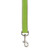 Casual Canine 1-Inch Flat Leather Dog Lead Parrot Green