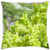 LESGAULEST Throw Pillow Cover -18x18 inch- - Lettuce Green Organic Leaf Fresh Food Healthy