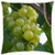 LESGAULEST Throw Pillow Cover -16x16 inch- - Grape Wine Fruit Winegrowing Green Grapes Vine
