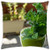 LESGAULEST Throw Pillow Cover -16x16 inch- - Green Smoothie Smoothie Kale Green Healthy Food 1