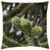 LESGAULEST Throw Pillow Cover -16x16 inch- - Araucaria Plant Garden Tree Nature Green LESGAULEST Throw Pillow Cover -16x16 inch- - Araucaria Plant Garden Tree Nature Green