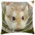 LESGAULEST Throw Pillow Cover -16x16 inch- - Hamster Brown Cute Animal Pet Rodent Small Mouse