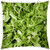 LESGAULEST Throw Pillow Cover -18x18 inch- - Greens Salad Green Healthy Food Fresh Diet