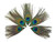 Peacock Feathers - Full Eye Trimmed Natural Green Peacock Tail Feathers