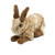Plush Bunny - Hoffman's A Hare in the Forest by Getty Museum Store