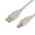 USBGear 2ft. White USB 2.0 Device Extension Cable A-Male to B-Male