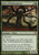 Magic the Gathering - Tree of Redemption - Innistrad