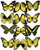 Cakeshop 12 x PRE-CUT Yellow Edible Butterfly Cake Toppers