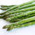 Mary Washington Asparagus Seeds Non-GMO Green Vegetable for Garden Plants