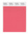 PANTONE Smart 17-1643X Color Swatch Card Porcelain Rose