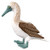 TOYANDONA Realistic Bird Figurines Plastic Model Bird Tropical Bird Figures Toy Educational Toy Cake Toppers