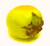 Thai Yellow Eggplant 20 Seeds/Seed - Heirloom - Rare