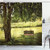 Ambesonne Tree Shower Curtain Wooden Bench Under Shady Big Tree in The National Park Fresh Tranquil Scenery Cloth Fabric Bathroom Decor Set with Hooks 70 inch Long Green Black