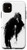 iPhone 11 Edgar Allan Poe The Raven Nevermore American Writer Poet Case