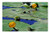LESGAULEST Doormat Floor Rug/Mat -23.6 x 15.7 inch- - Nuphar Lutea Water Lilies Aquatic Plant Yellow