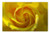 LESGAULEST Doormat Floor Rug/Mat -23.6 x 15.7 inch- - Rose Yellow Flower Nature Romantic Romance Petal