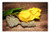 LESGAULEST Doormat Floor Rug/Mat -23.6 x 15.7 inch- - Tulips Cut Flowers Plant Flowers Yellow