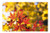 LESGAULEST Doormat Floor Rug/Mat -23.6 x 15.7 inch- - Maple Autumn Leaf Red Yellow Leaves Coloring