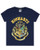 Harry Potter Hogwarts Crest Boys T-Shirt -9-11 Years- Blue Harry Potter Hogwarts Crest Boys T-Shirt -9-11 Years- Blue
