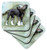 3dRose Chinese Crested - Ceramic Tile Coasters, Set of 4 (cst_4254_3)