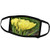 3dRose Yellow Tulips in Spring- Flowers- Floral Photography - Face Covers -fc_47735_3- 3dRose Yellow Tulips in Spring- Flowers- Floral Photography - Face Covers -fc_47735_3-