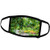 3dRose Photography of Tree with Green and Yellow Bokeh Overlay - Face Covers -fc_213708_3-