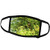 3dRose Curved Trunk of a Poplar Tree Sunlit Green Leaves Blue Sky - Face Covers -fc_283960_3-