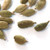 Spice Jungle Whole Green Cardamom - 4 oz.
