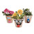 Silly Faces Paper Mache Flower Pot Ck - Crafts for Kids and Fun Home Activities