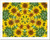 Flower Kaleidoscope Resembling A Mandala Paper Print Wall Art -8in. x 10in.-