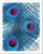 Peacock Feathers Paper Print Wall Art -10in. x 8in.-