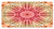 Ambesonne Batik License Plate Gradient Circle Batik Pattern with Spectral Pleats and Distressed Spots Image Print High Gloss Aluminum Novelty Plate 5.88 inch X 11.88 inch Red Brown