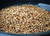 Spice Specialist Coriander Seed Whole in a 1 Pound Plastic Container -.60 LBS NET WEIGHT-