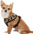 East Side Collection Polyester Plush Leopard-Print Dog Harness X-Small