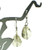 Gray Tear Drop Crystal Earrings on Sterling Silver Hooks