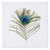 3dRose Glam Image Of Gold Blue and Green Image Of Glitter Peacock. - Quilt Squares -qs_335971_4-