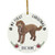 Lovesout Personalized Name Goldendoodle C Chestnut Puppys First Christmas 2020 Ornament White Ceramic Circle