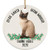 Lovesout Funny Personalized Name Siamese Cat Caramel Dear Santa Define Naughty Christmas 2020 Ornament White Ceramic Circle