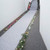 Efavormart 36 inch x 50ft White Floral Lace Aisle Runner