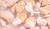 Maple Brown Gourmet Salt Water Taffy 1 Pound Bag