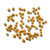 Mustard Seed Yellow Organic