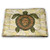 prunushome Pet Cushion Dog Bed Spa Pet Pillow Bed Zen Stones with Orchid and Candles Green Plants at The Background Print Use for Dogs Cat PetAll Seasons White Green and Black -21 inchx14 inch-